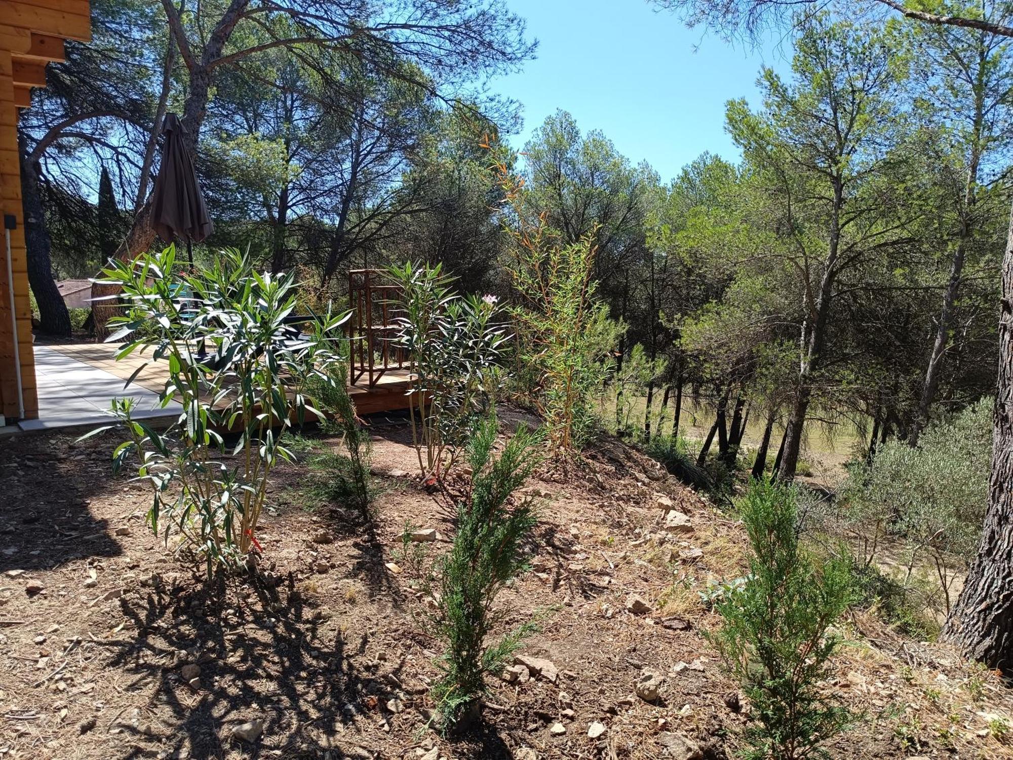 Apartment Escapade Sous Les Pins 20m2