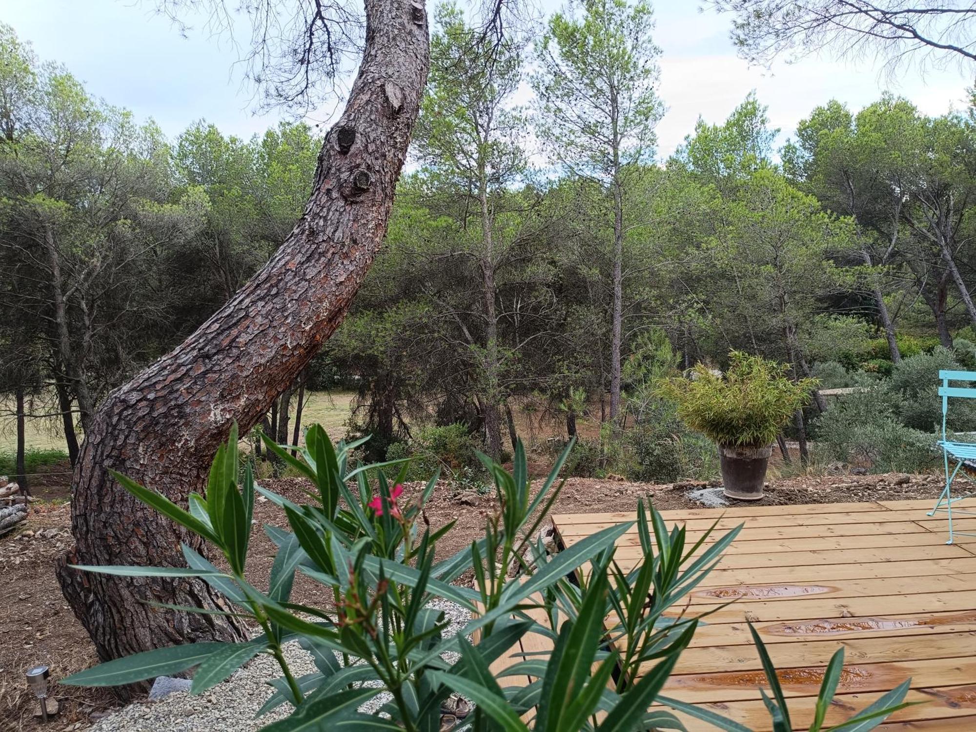 Escapade Sous Les Pins 20m2 *