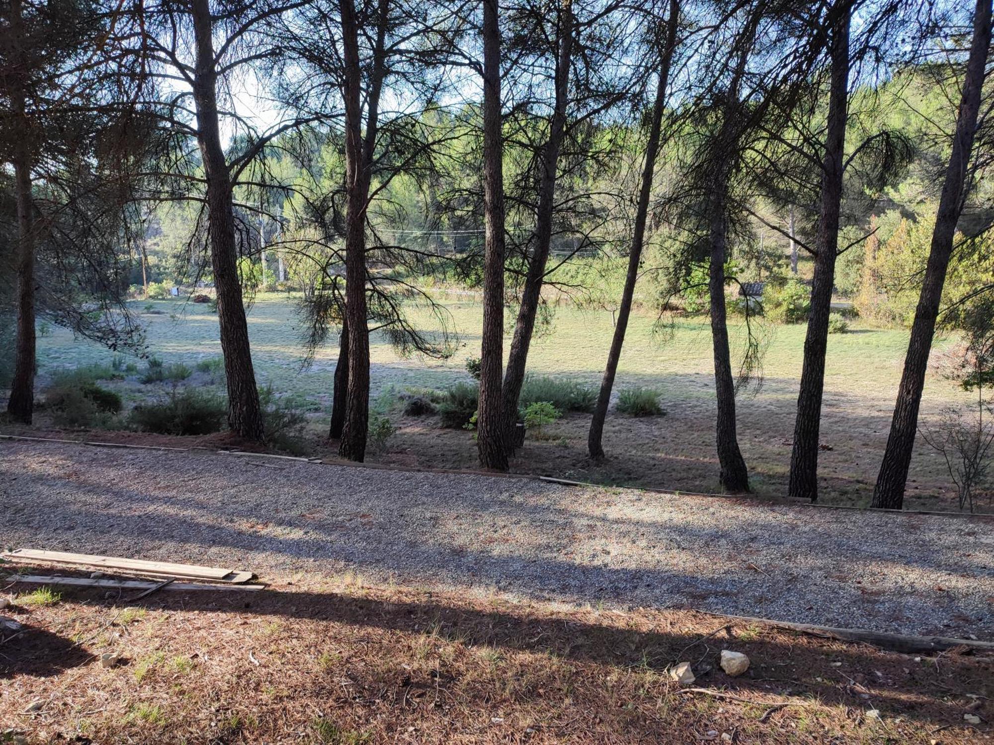 Escapade Sous Les Pins 20m2 Appartamento